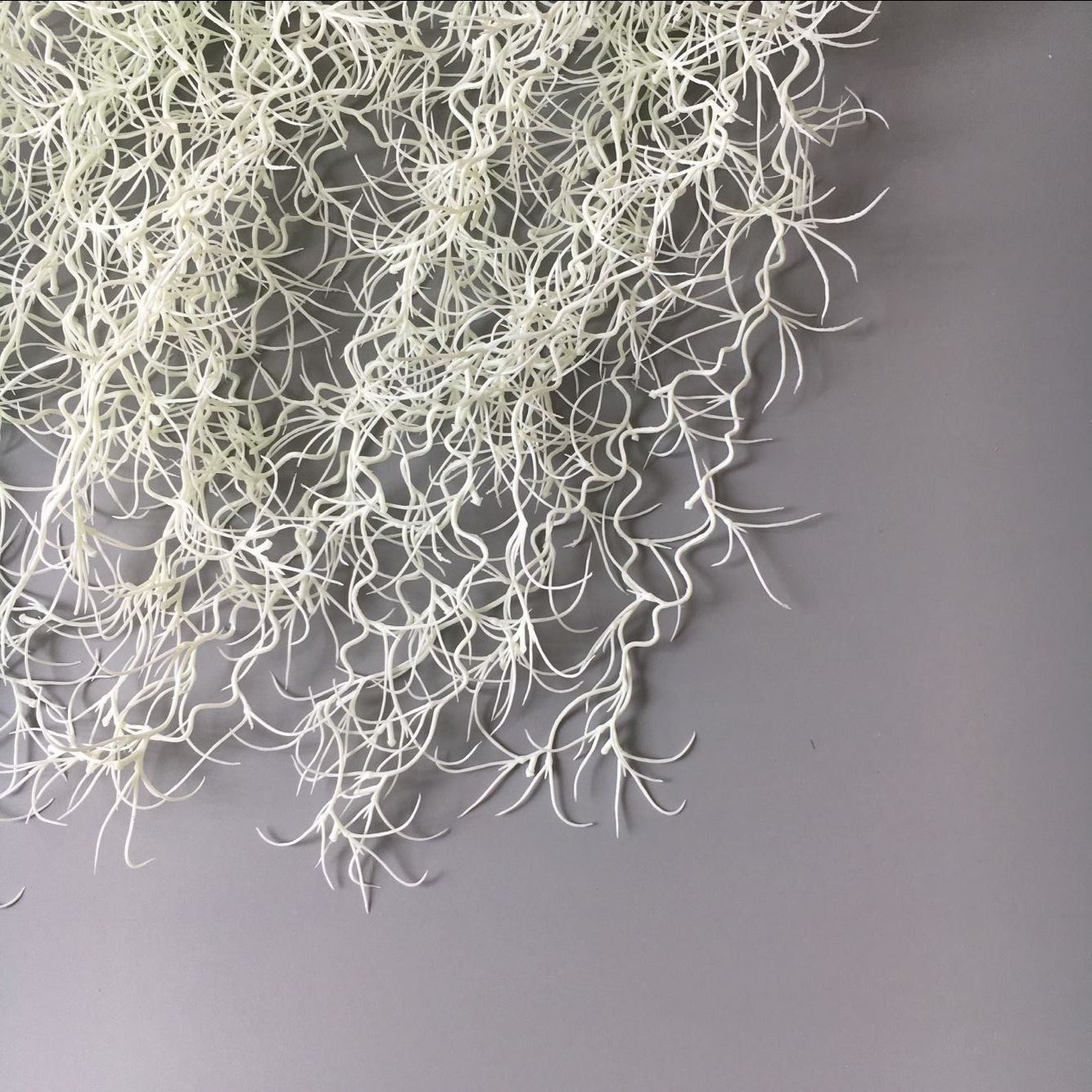 28EC569FCC3167348BACA53E8A6133