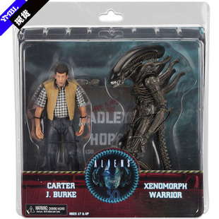 NECA ���� ������ ���Α�ʿ ���b7�� �Ʉ���ż���kģ��