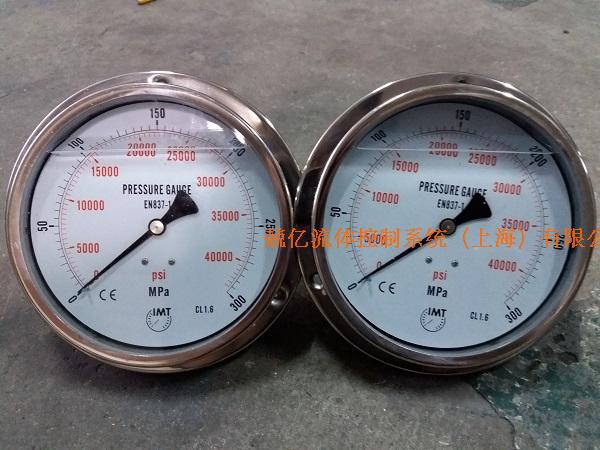 上海兢亿供应充700MPa油耐震压力表，德国IMT超高压压力表
