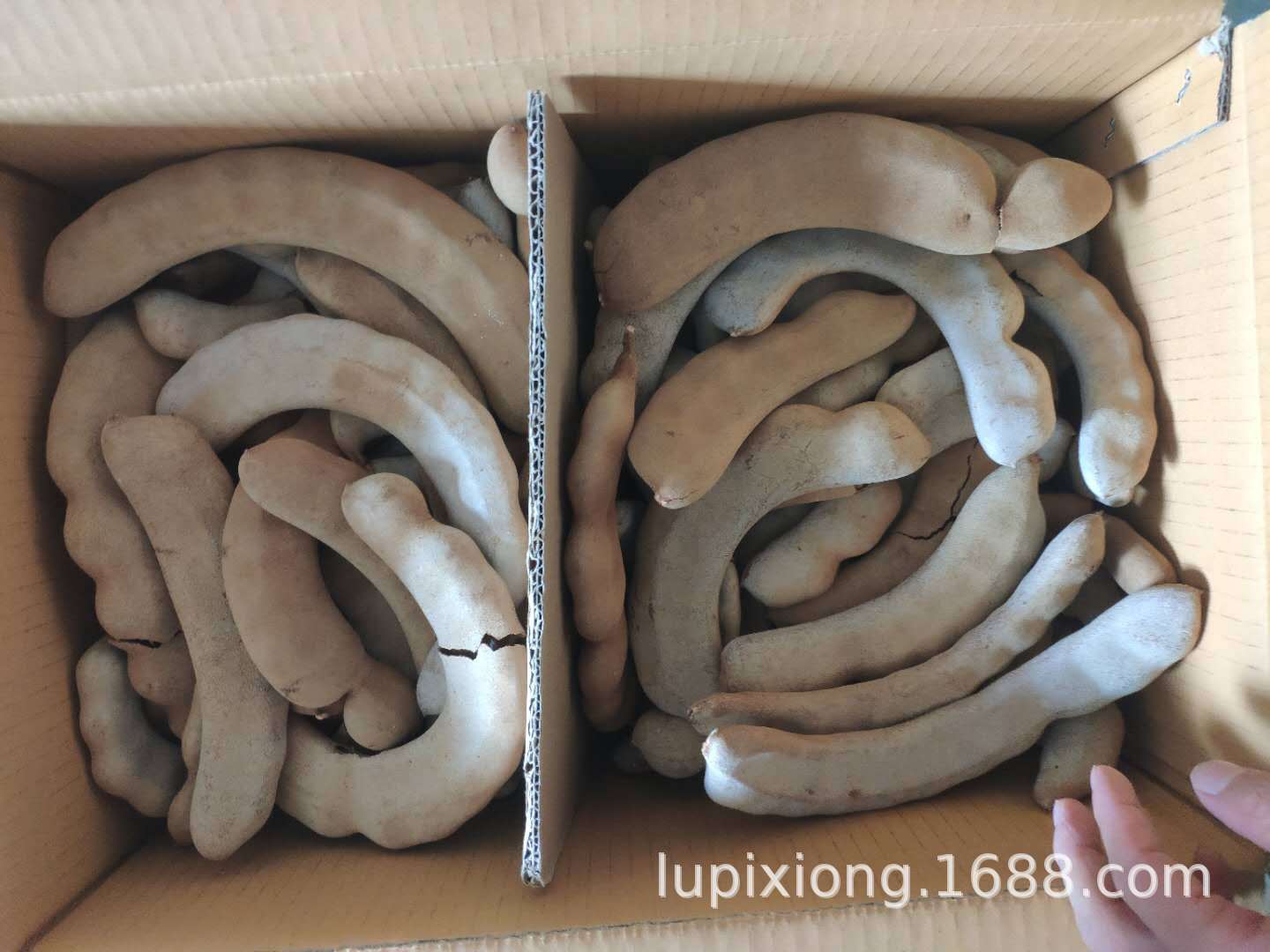 图片_20200402110655