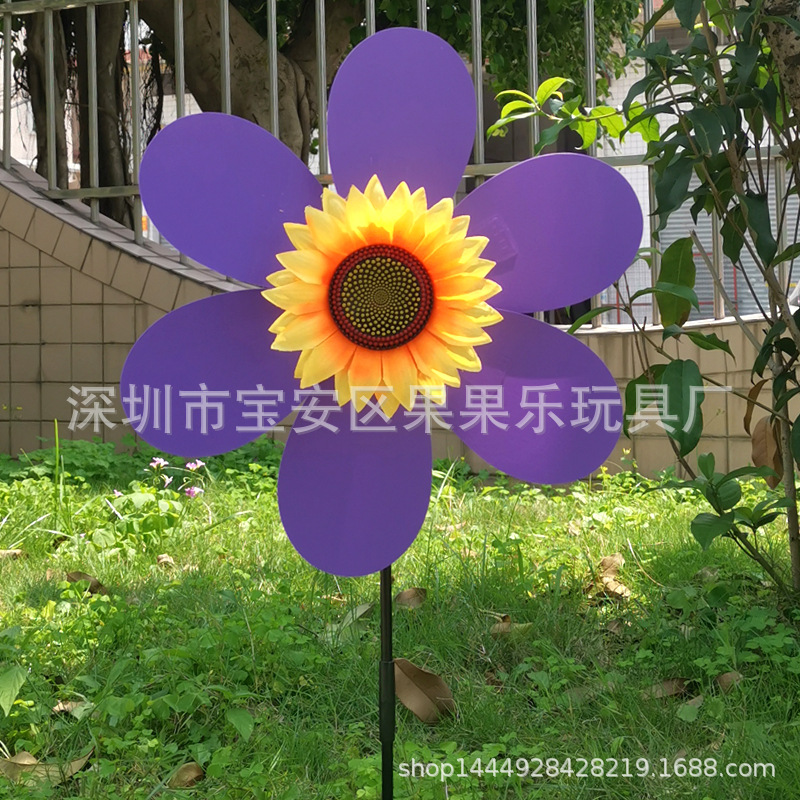 太阳花紫色