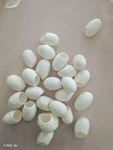 美容蚕茧 去黑头桑蚕壳开口白色蚕茧去E粉刺蚕V茧壳洗脸抽丝