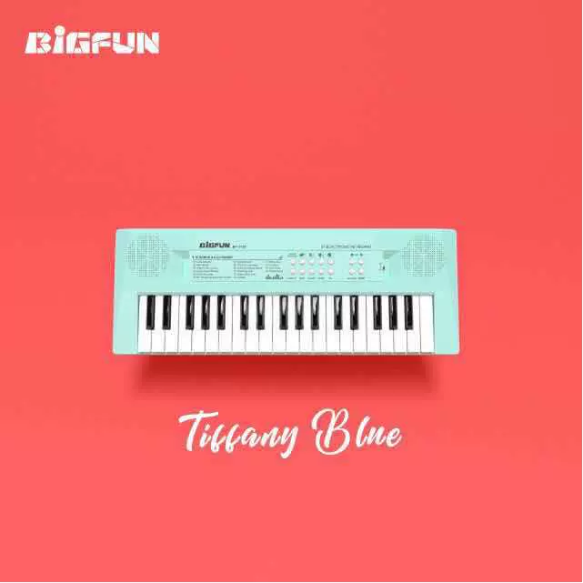 BIGFUN儿童电子琴37键音乐玩具亚马逊TIK可弹奏乐器钢琴益智