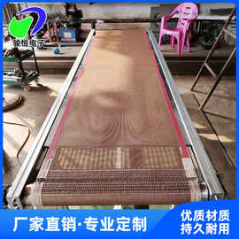 厂家直供 隧道红外线烘干线 工业隧道炉 鼓风烘箱 高温烤箱