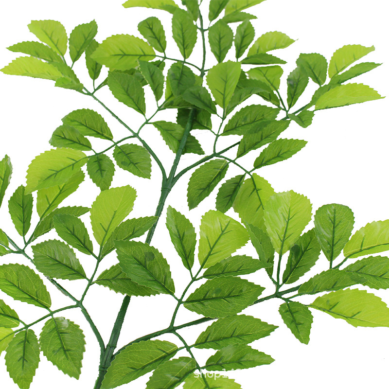 XRB-110 榆树叶五叉枝2.jpg