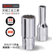 天赋进口手动加长十二角套筒头10mm中飞英制12角梅花批头扳手工具