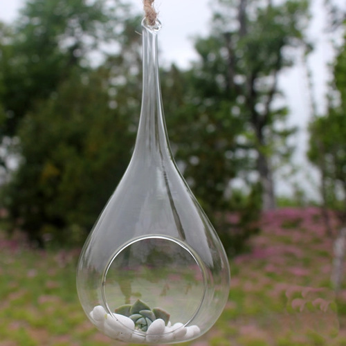 Micro landscape ecological bottle, hanging glass vase, succulent plant vase, wedding crafts