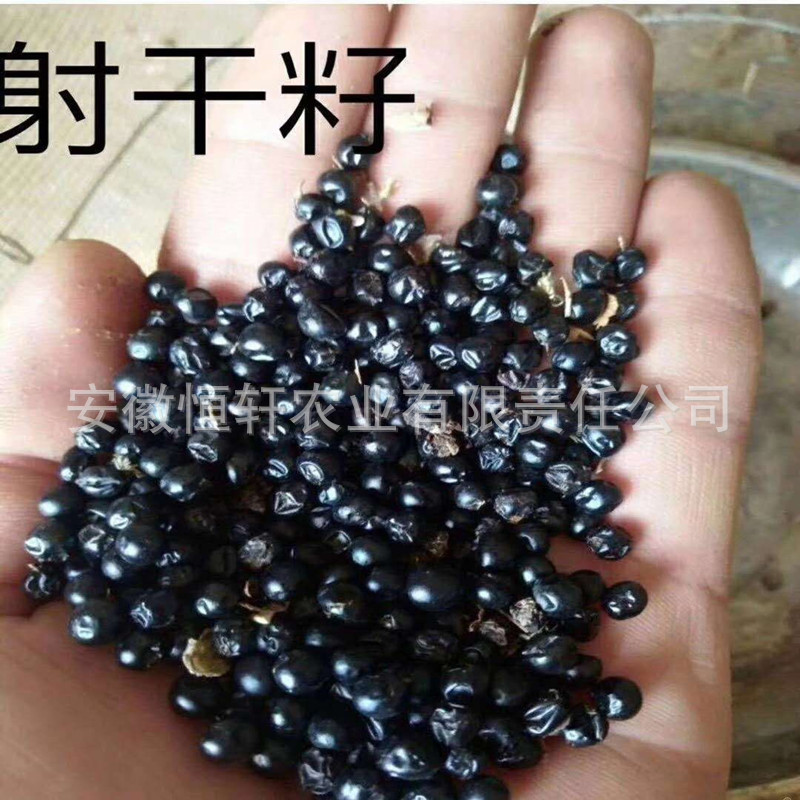 QQ图片20200207095851