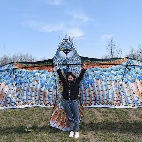 Eagle Kite Large Extra Large Breeze Easy-Fly Kite Weifang Adult Eagle Kite with Wheel