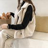 Lambswool Vest Autumn and winter new pattern Easy bf Tank Top waistcoat Fur integrated Suede Vest coat