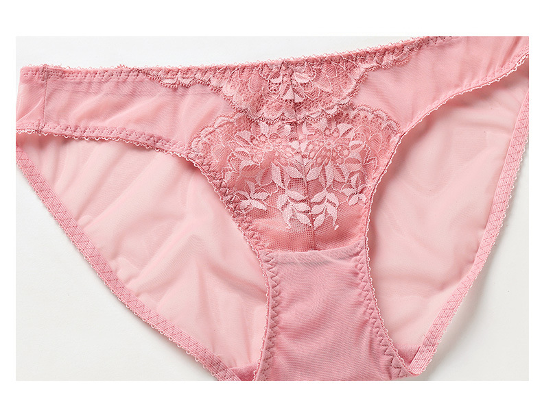 Sexy Lace Bra And Brief Set For Women With Large Chest Support_voghion.com
