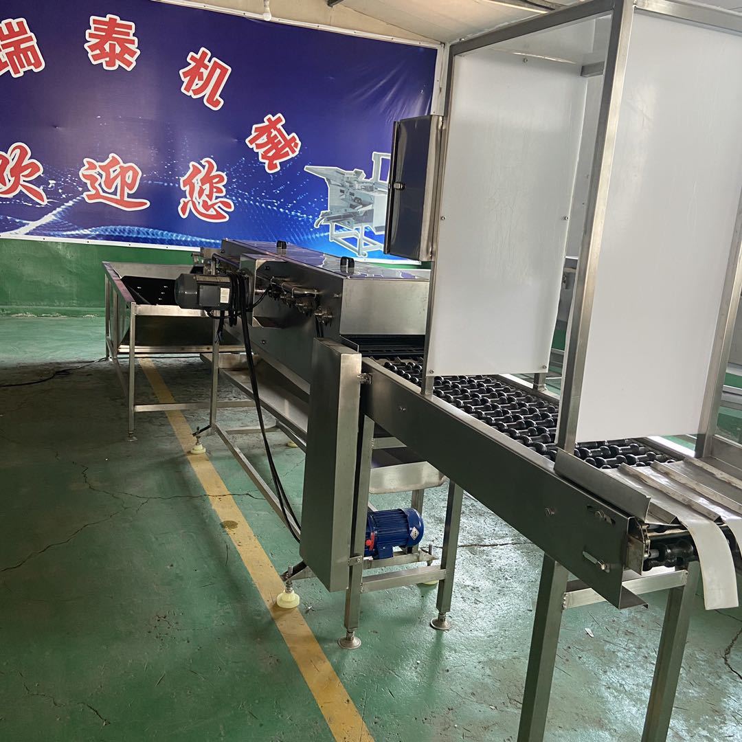 养殖场脏鸡蛋清洗机 小型商用不锈钢蛋品洗蛋机 不锈钢材质耐腐蚀