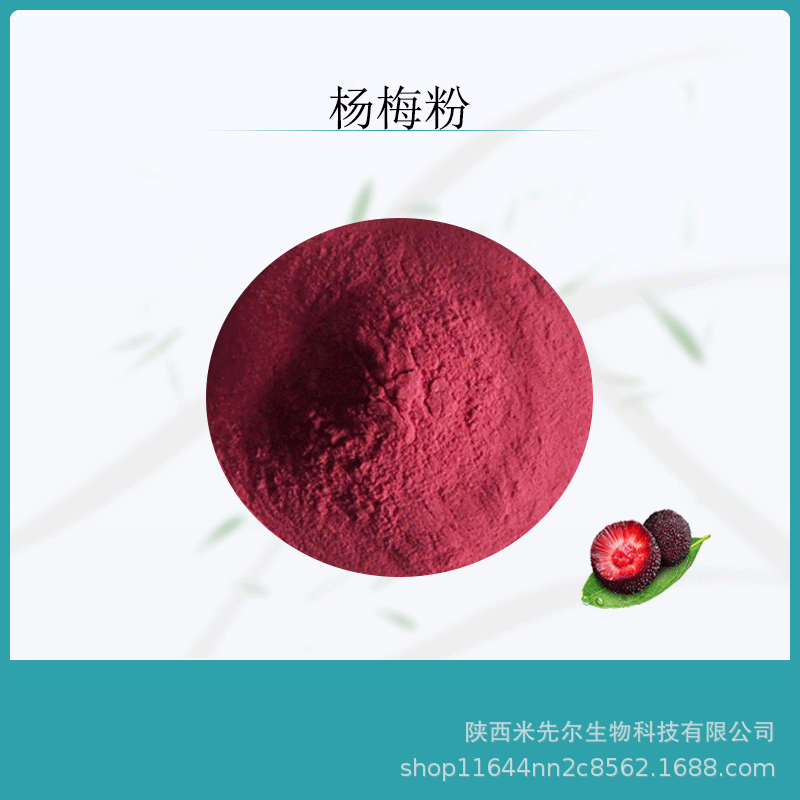 杨梅果粉99%杨梅粉杨梅提取粉杨梅提取物固体饮料原料粉