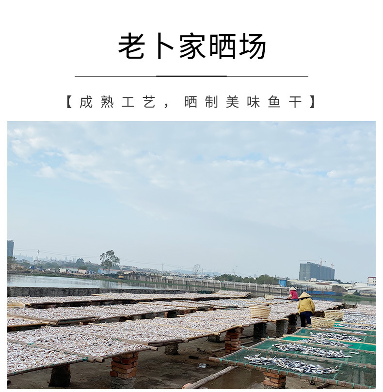 黄花鱼干