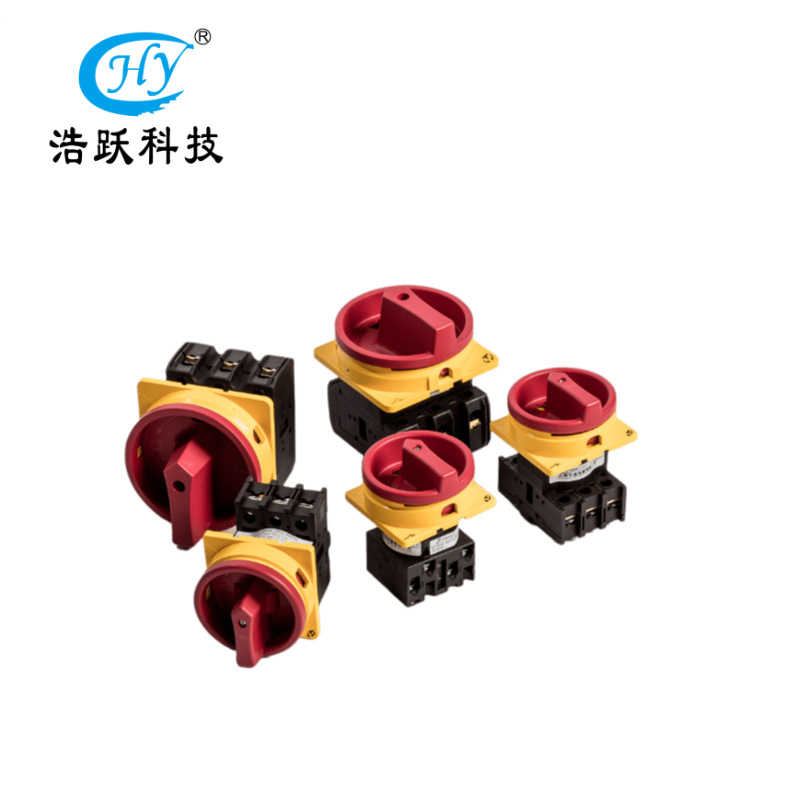 TAYEE天逸LW42系列万能通断开关 安全开关 LW42B32-1016/LF101