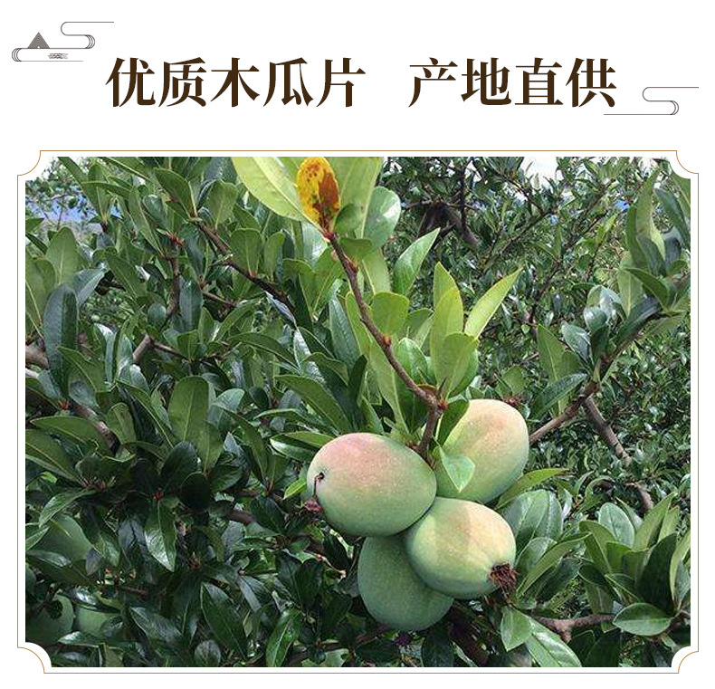 Dried Papaya Slices Mu Gua 木瓜 500g Natural Sun-Dried Culinary Herb for Cooking and Herbal Soup key features
