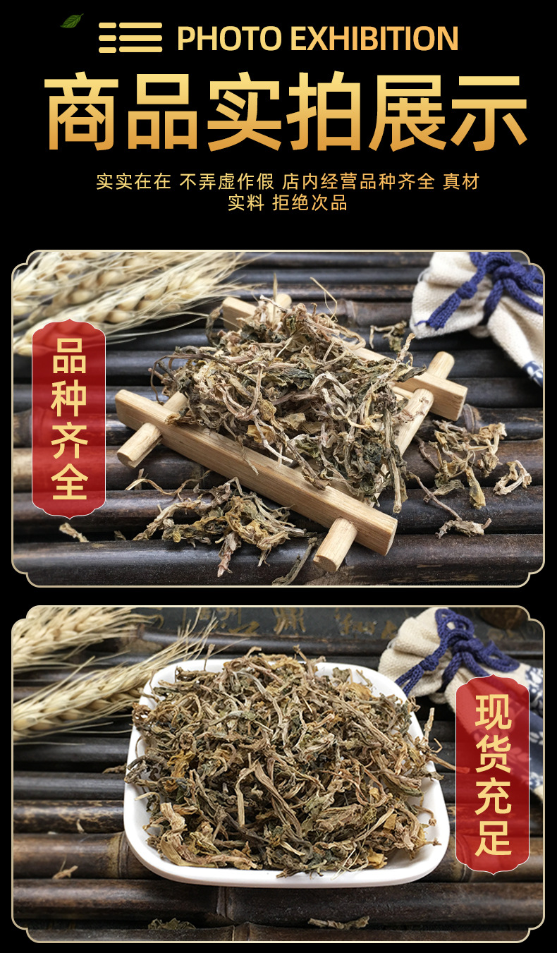 Dried Sedum Herb Chui Pen Cao Loose Bulk 500g Freshly Sun Dried Whole Plant in use