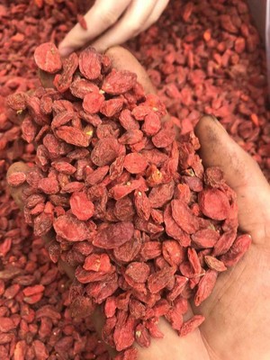 2020新货便宜颗粒红枸杞 散装批发，一箱44斤起批 青海大果红枸杞|ru