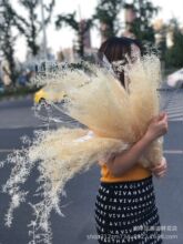【天门冬】永生天门冬刺文竹干花婚礼布置软装造型花材线条花材