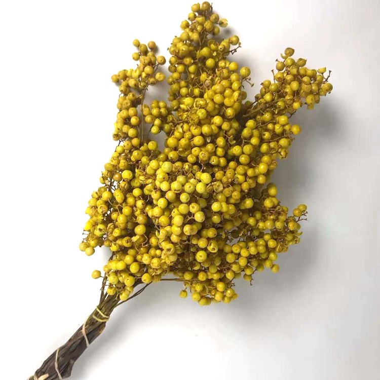 微信图片_20200209024533