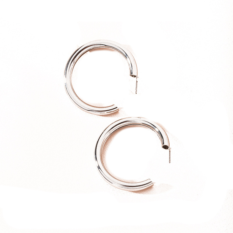 Fashion New Round Simple Alloy All-match Women's Earring Hot-saling Wholesale display picture 5