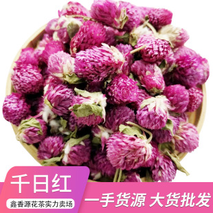 千日紅圖片 海量高清千日紅圖片大全 阿里巴巴