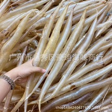 批发鳝肚15-1000头厚肉鳝肚麻鱼胶干货鱼肚陈年老胶鱼鳔 500g