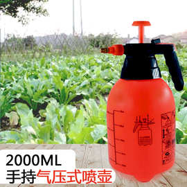 2L手持喷水壶 园艺手压式喷雾器 消毒杀虫多用途家用浇花洒水壶