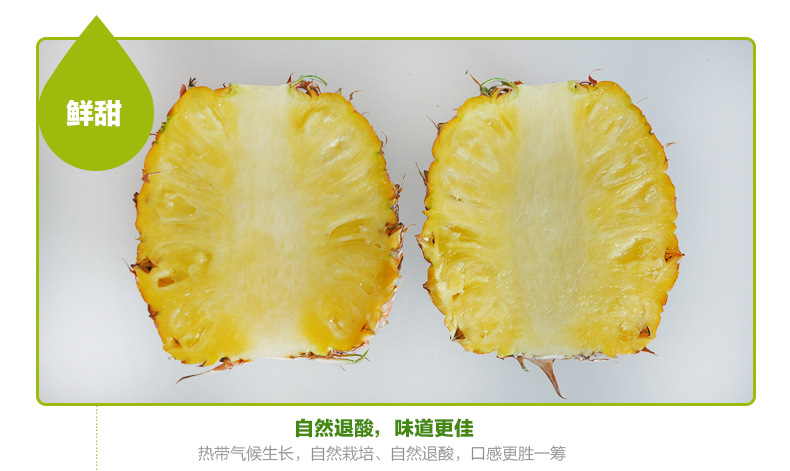 凤梨_13.jpg