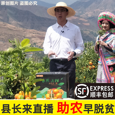 云南丽江永胜高原沃柑5斤9斤晚新鲜水果特产橘桔子超甜顺丰包邮