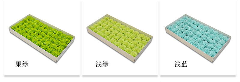 AL康乃馨详情_09