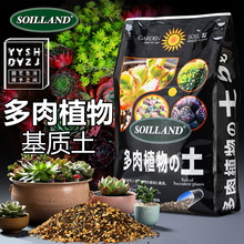 多肉植物专用营养土 多肉植物专用营养土品牌 图片 价格 多肉植物专用营养土批发 阿里巴巴