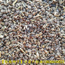 ������������ѷN ����90%������؛