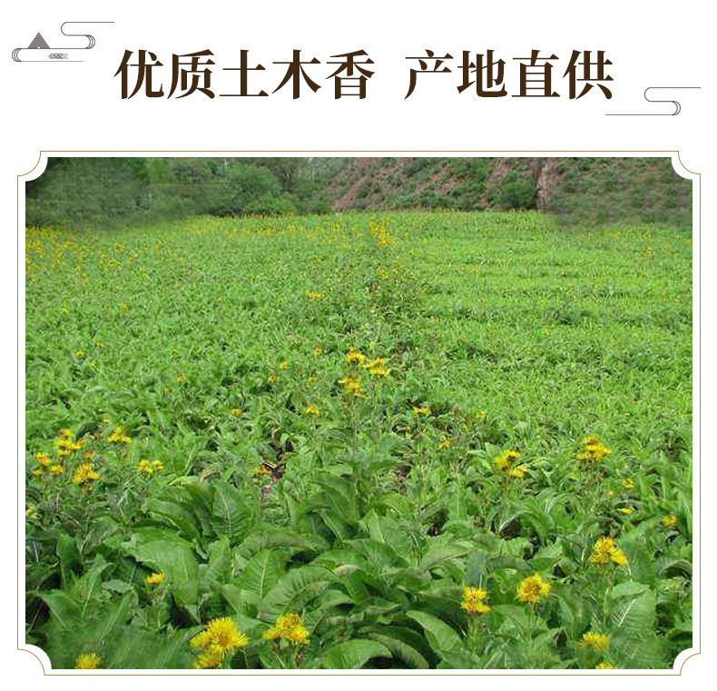 Costus Root Slices Mu Xiang 500g Dried Aromatic Herb for Decoction and Culinary Seasoning key features