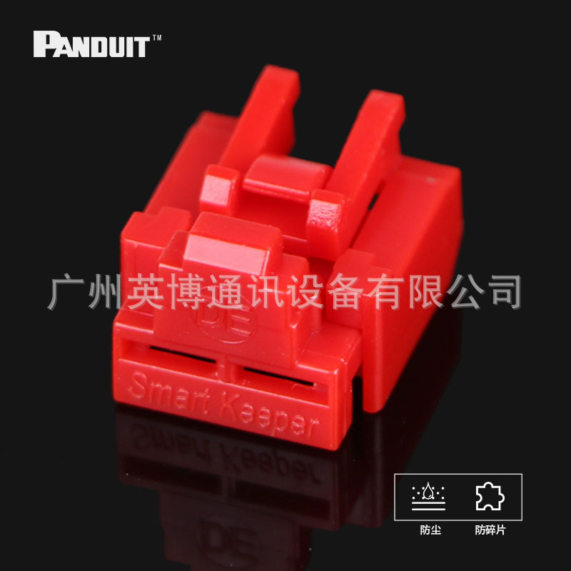 Panduit泛达 新款RJ45网络模块锁10个装 SKRJ45RD-X