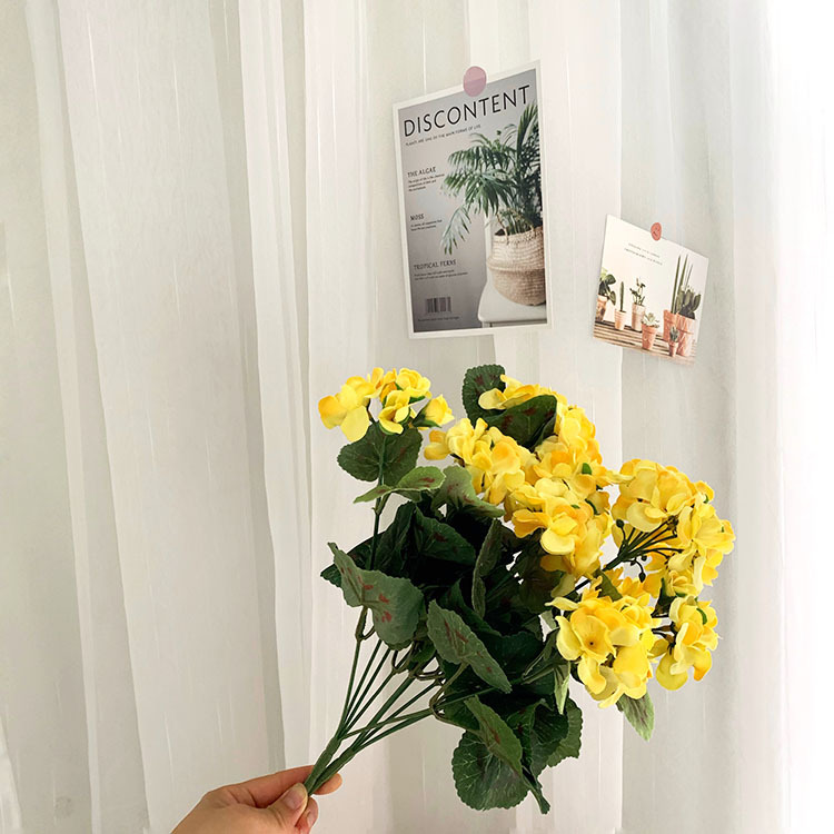 IMG_2131(20200527-094651)_wps图