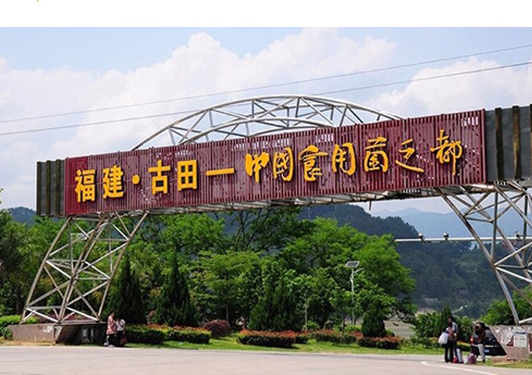 9317321965_1519348481