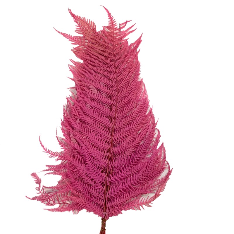 微信图片_20200420131022