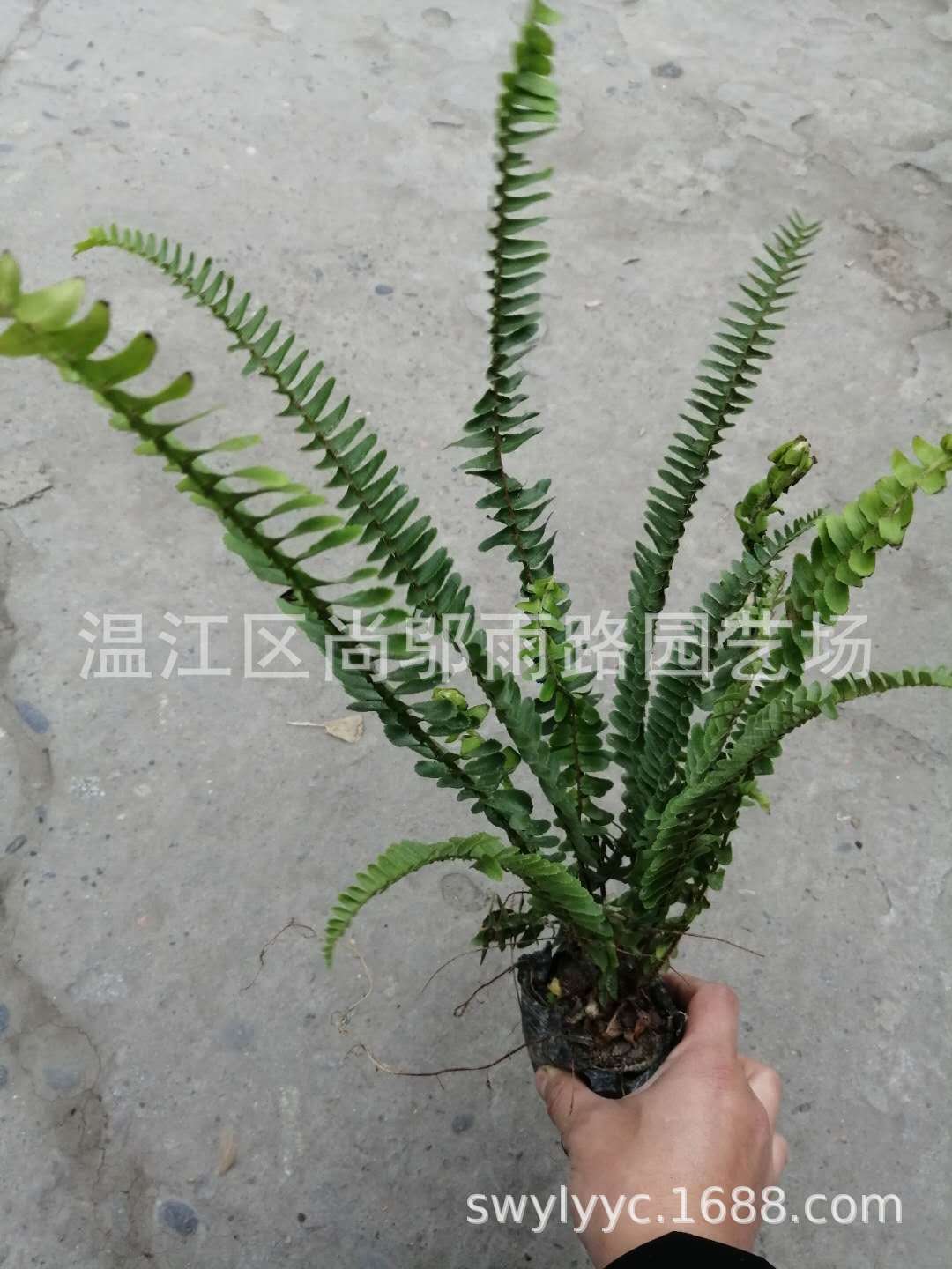 微信图片_20200410101211