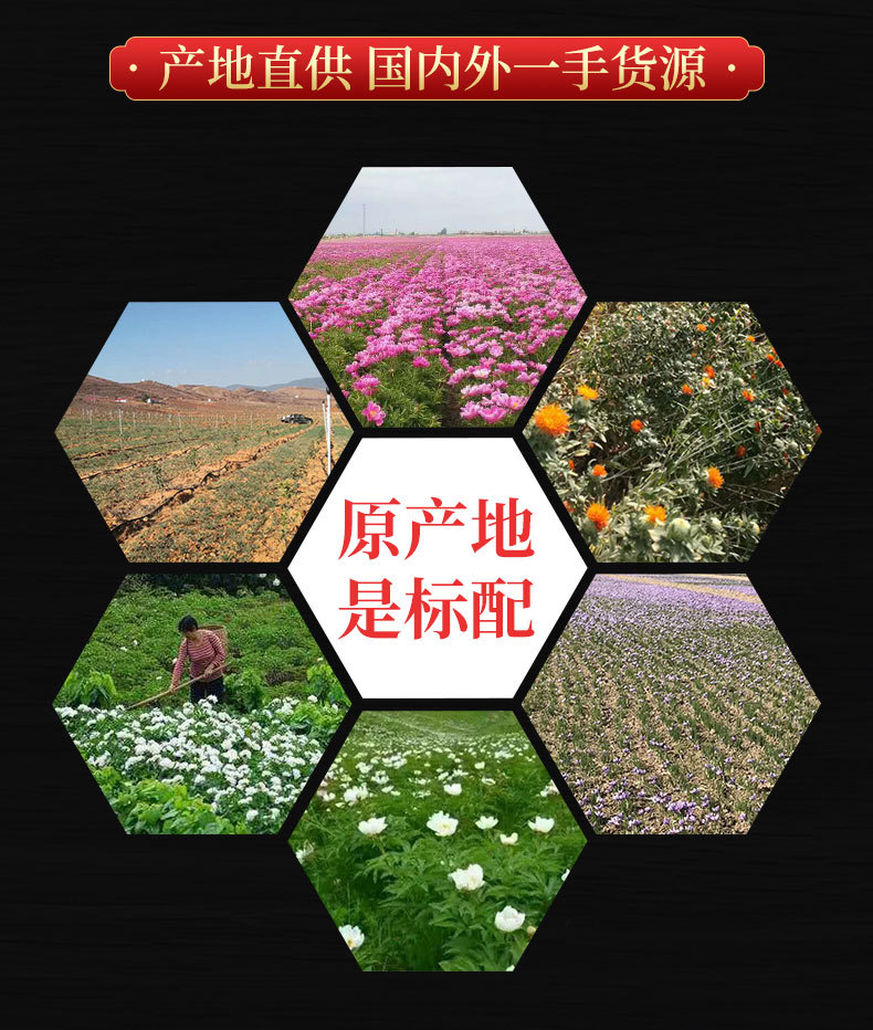 Zi Cao Root & Zi Cao Rong (Lithospermum erythrorhizon / Arnebia euchroma) — Dried Chinese Herb, Xinjiang Soft Purple Herb quality and texture