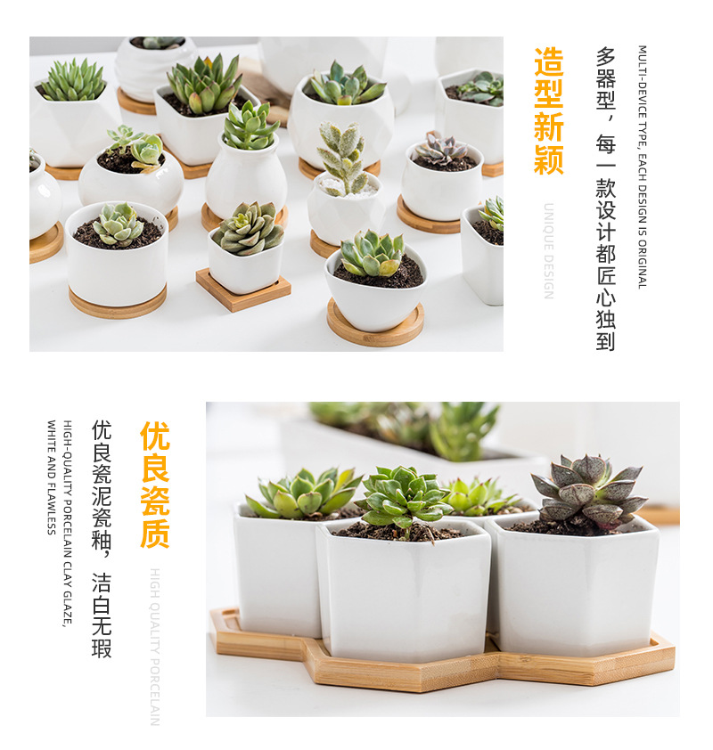 多肉种植盆_14.jpg