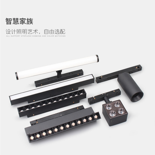 Smart magnetic track light with voice control dimming 220V embedded living room bedroom borderless LED linear light