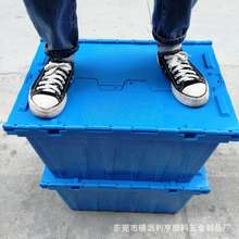 бʽ tș ʳƷDBwz wܷ zD