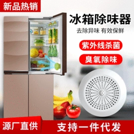 空气净化器;牙刷消毒器;车用氧吧