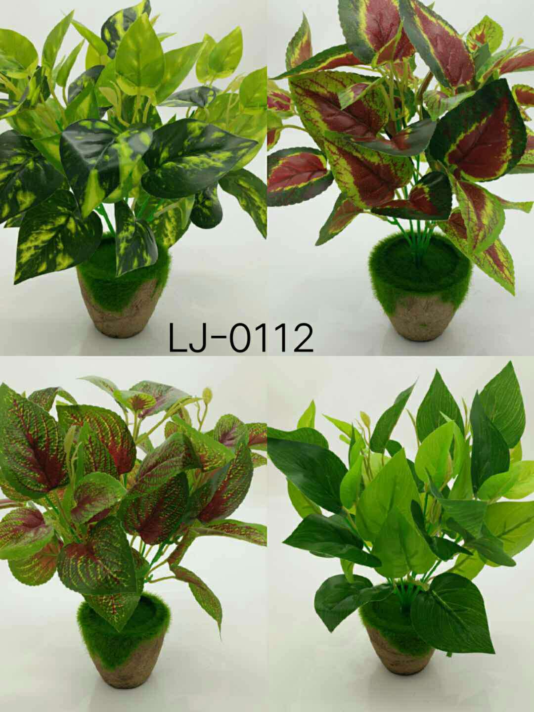 WeChat 圖片_20200704114609