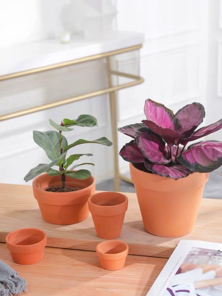 微信图片_20200316120529