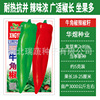 Huayu beef horn pepper pepper seed manufacturers wholesale farmhouse big pepper pepper pepper seed vegetable garden balcony potted vegetables