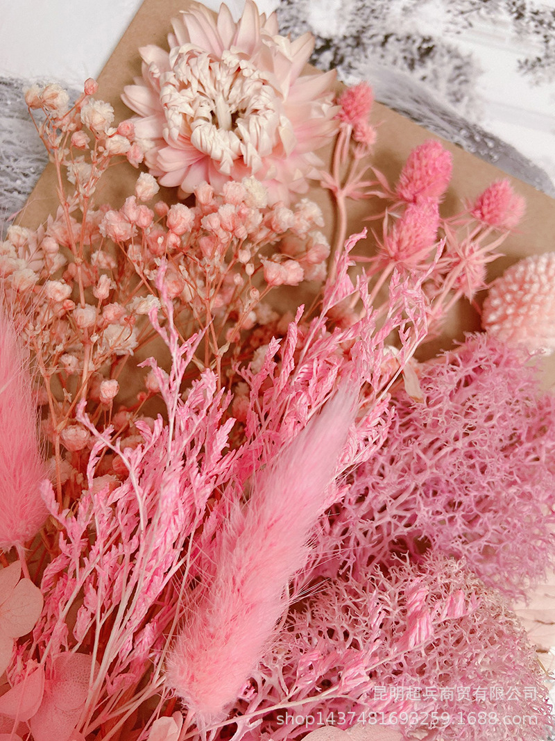 5B834C30AFD106F1ED295BA0108B39