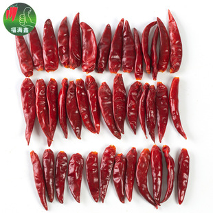 ���u���M���L�ڹ��������t ���� �涼�t �t��