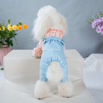 2020秋冬季新款狗狗牛仔背带裤薄款甜美公主宠物四脚衣一件代发